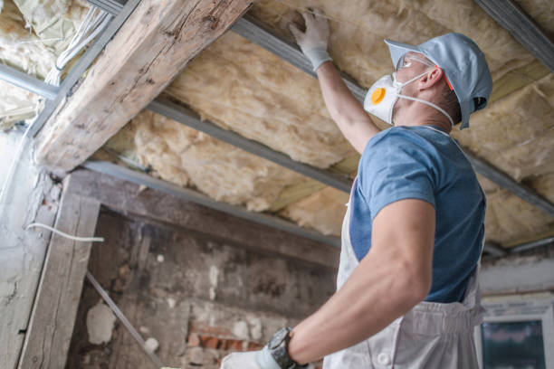 Best Geographic-Specific Insulation Services in Bellefontaine Neighbors, MO
