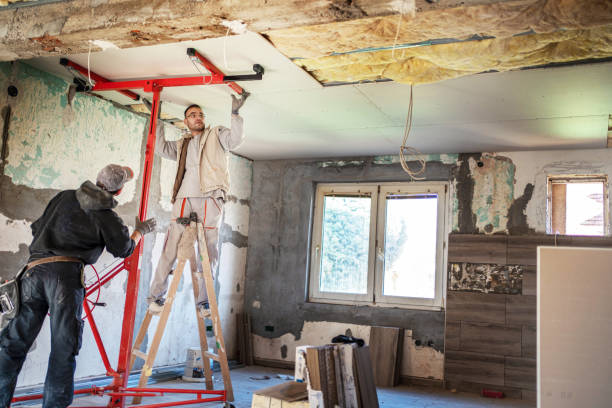 Best Blown-in Insulation in Bellefontaine Neighbors, MO